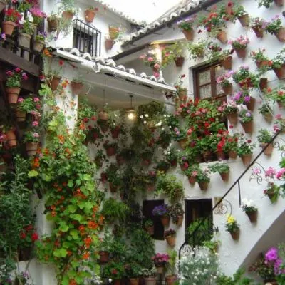 Spanish lessons that immerse you in the culture